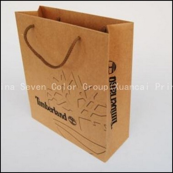 Eco Friendly Customized Paper Bag 
